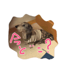 Mydog＆friends（個別スタンプ：7）