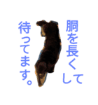 スタンプひめ（個別スタンプ：1）