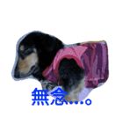 スタンプひめ（個別スタンプ：2）