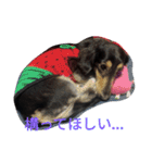 スタンプひめ（個別スタンプ：6）