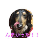 スタンプひめ（個別スタンプ：7）