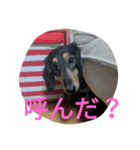 スタンプひめ（個別スタンプ：8）