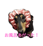 スタンプひめ（個別スタンプ：11）