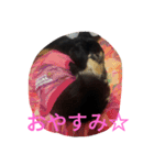 スタンプひめ（個別スタンプ：12）