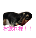 スタンプひめ（個別スタンプ：14）