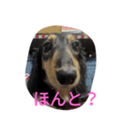 スタンプひめ（個別スタンプ：16）
