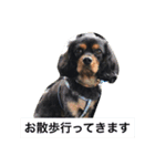 ブラタンキャ まろくん（個別スタンプ：2）