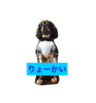 ブラタンキャ まろくん（個別スタンプ：4）
