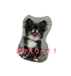 I love maca（個別スタンプ：2）
