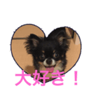 I love maca（個別スタンプ：7）