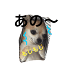 とろろのまったりlife2（個別スタンプ：5）