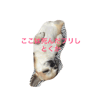 とろろのまったりlife2（個別スタンプ：7）