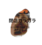 とろろのまったりlife2（個別スタンプ：8）