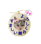 猫にゃ・にゃ・にゃ！part6（個別スタンプ：28）