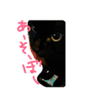うにです。（個別スタンプ：1）