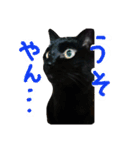 うにです。（個別スタンプ：6）