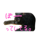 うにです。（個別スタンプ：16）
