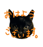 うにです。（個別スタンプ：20）