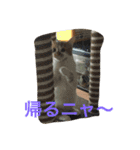 ひとことメッセージ 猫バージョン part1（個別スタンプ：15）