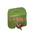 ひとことメッセージ 猫バージョン part1（個別スタンプ：22）