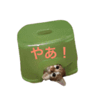 ひとことメッセージ 猫バージョン part1（個別スタンプ：37）