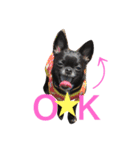 デッキー（個別スタンプ：5）