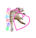 デッキー（個別スタンプ：7）