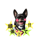デッキー（個別スタンプ：8）