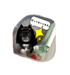 デッキー（個別スタンプ：9）