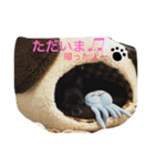 デッキー（個別スタンプ：12）