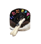 デッキー（個別スタンプ：14）