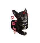 デッキー（個別スタンプ：17）