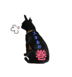 デッキー（個別スタンプ：22）