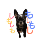 デッキー（個別スタンプ：24）