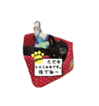 デッキー（個別スタンプ：28）