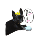 デッキー（個別スタンプ：29）