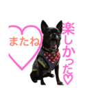 デッキー（個別スタンプ：31）