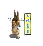 bingo rabbit（個別スタンプ：12）