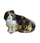大好き❤（個別スタンプ：1）