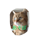 大好き❤（個別スタンプ：5）