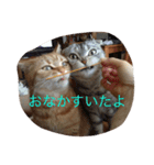 大好き❤（個別スタンプ：8）