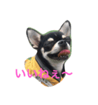 DOG FORCE 5チワワ（個別スタンプ：16）