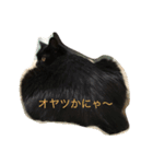 The sound of  all seasons  bell（個別スタンプ：7）