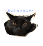 The sound of  all seasons  bell（個別スタンプ：8）