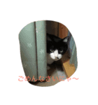 The sound of  all seasons  bell（個別スタンプ：9）