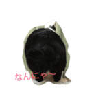 The sound of  all seasons  bell（個別スタンプ：10）