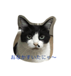 The sound of  all seasons  bell（個別スタンプ：11）