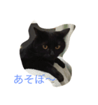 The sound of  all seasons  bell（個別スタンプ：13）