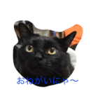 The sound of  all seasons  bell（個別スタンプ：15）