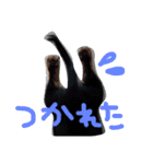 maron.0419（個別スタンプ：1）